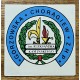 BOY SCOUTS POLONIA VIÑETA SCOUT LOCALIDAD DE GORZOW